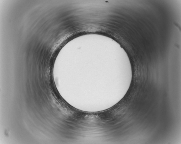 X0000103470440200810100938