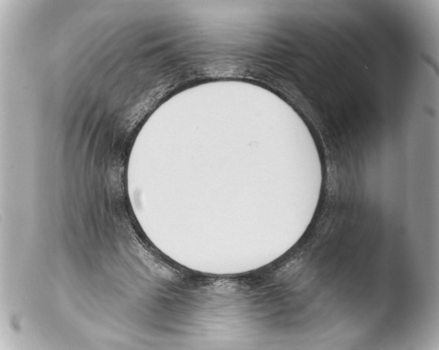X0000103470441200810100938