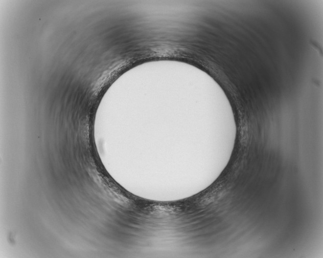 X0000103470442200810100938
