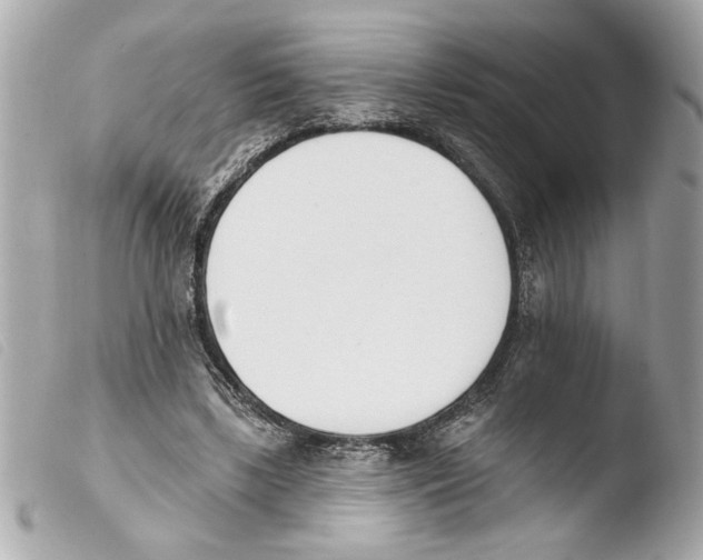 X0000103470443200810100938