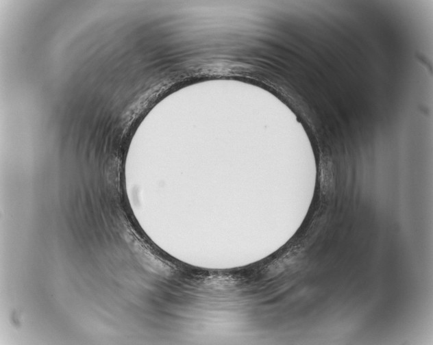 X0000103470445200810100938