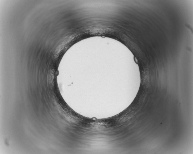 X0000103470448200810100938