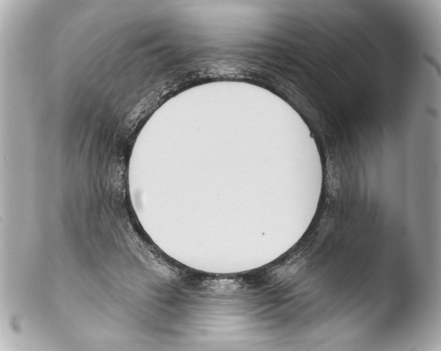 X0000103470449200810100938