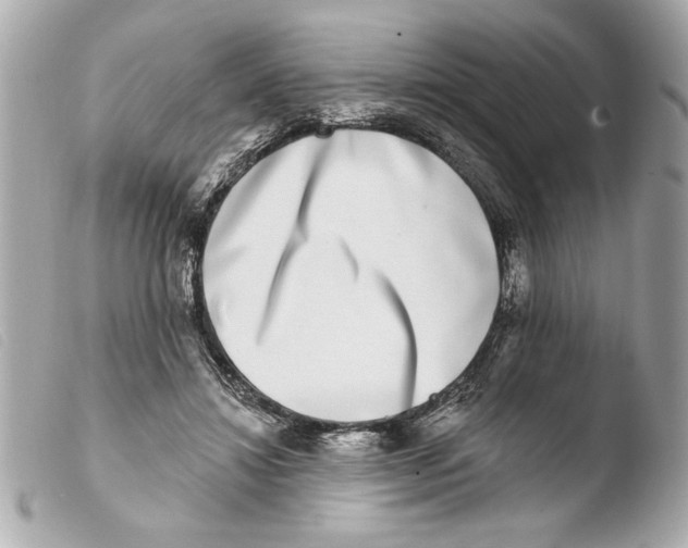 X0000103470452200810100939