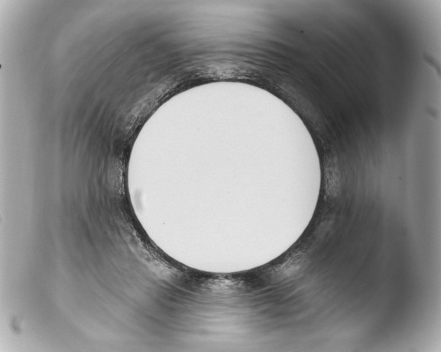 X0000103470453200810100939
