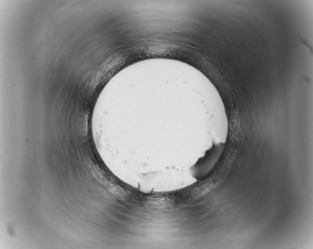 X0000103470454200810100939