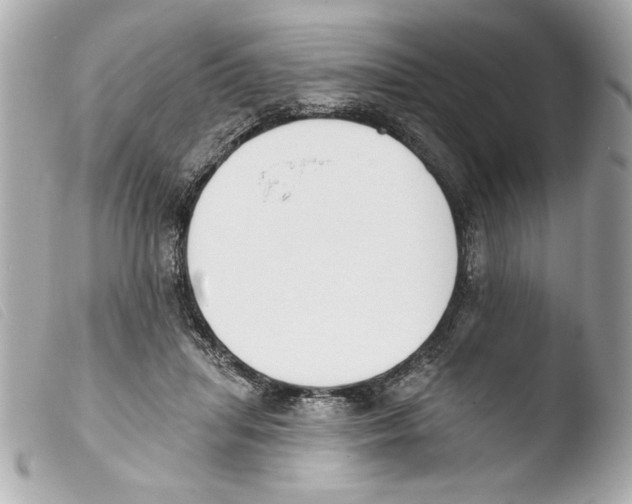 X0000103470455200810100939