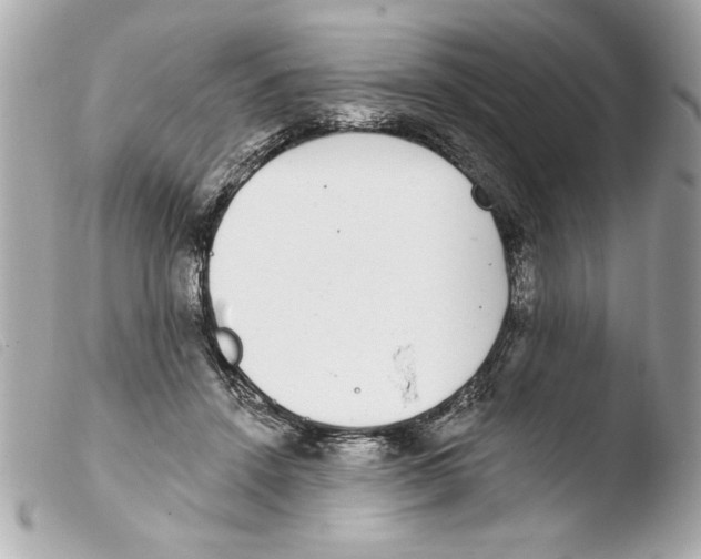 X0000103470456200810100939