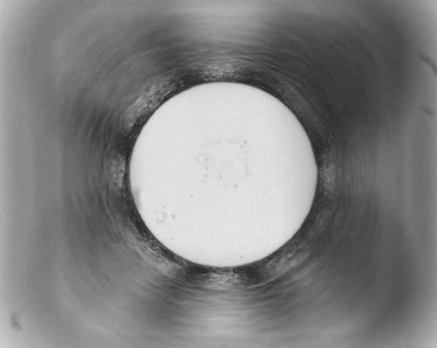 X0000103470458200810100939