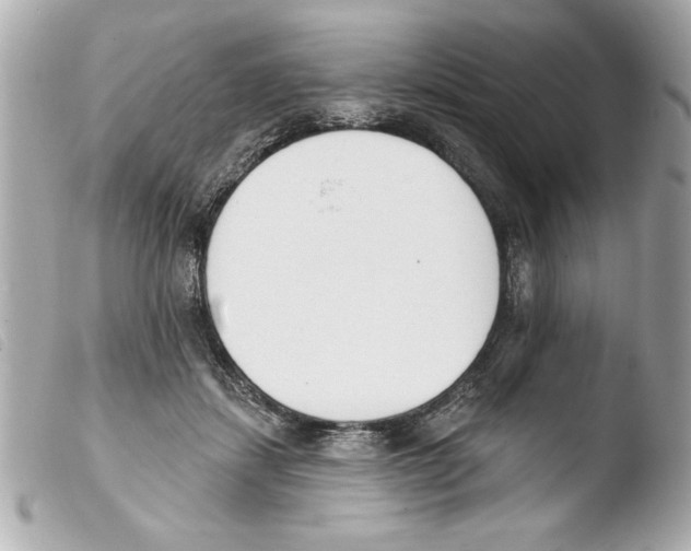X0000103470459200810100939