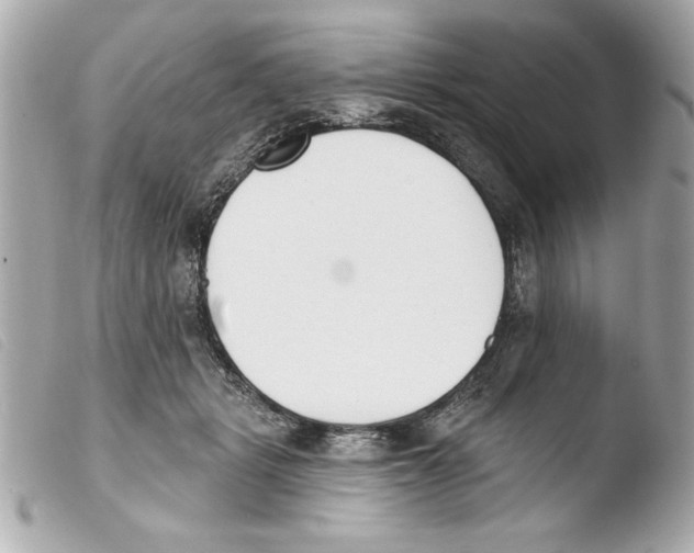 X0000103470461200810100939