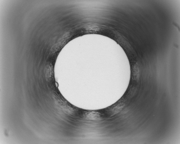 X0000103470463200810100939
