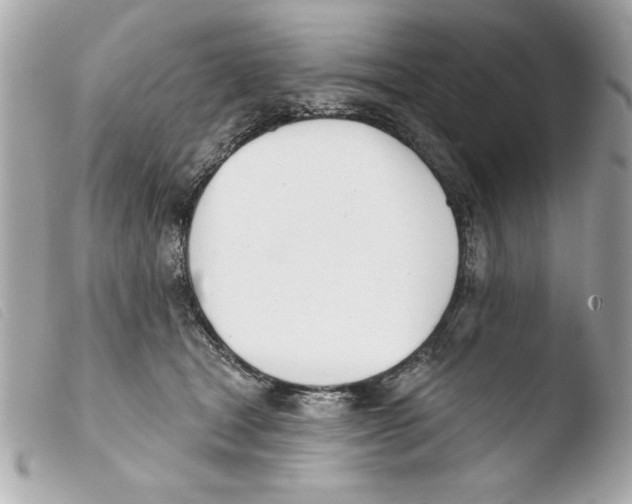 X0000103470465200810100939