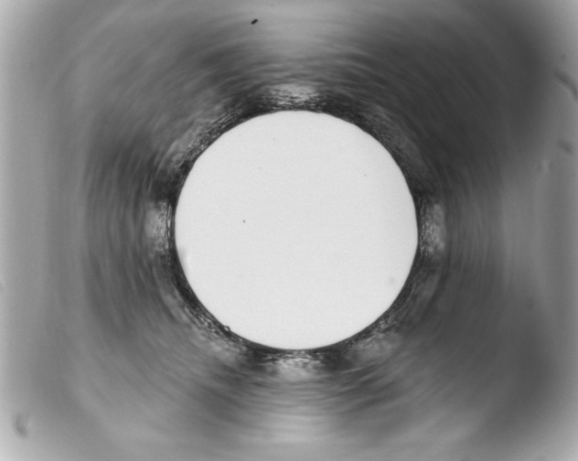 X0000103470468200810100939