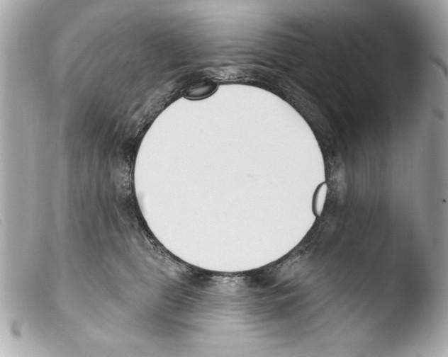 X0000103470469200810100939