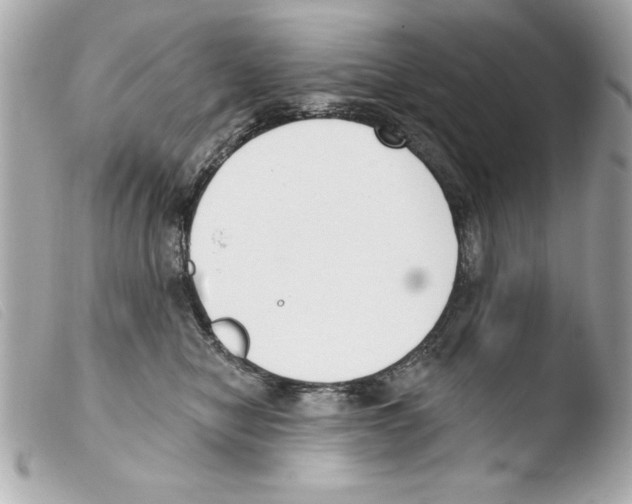 X0000103470470200810100939