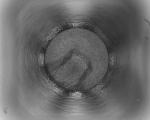 X0000103470471200810100939
