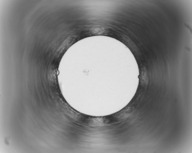 X0000103470473200810100939