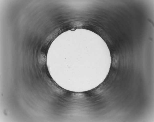 X0000103470476200810100939