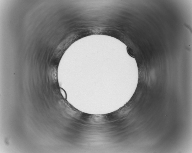 X0000103470479200810100939