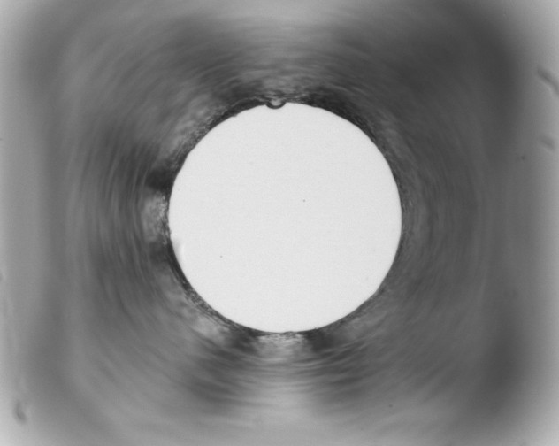 X0000103470480200810100939