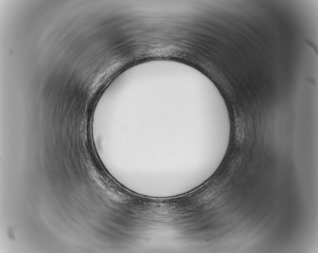X0000103470486200810100938