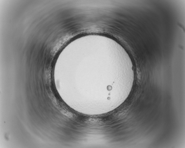 X0000103470487200810100938