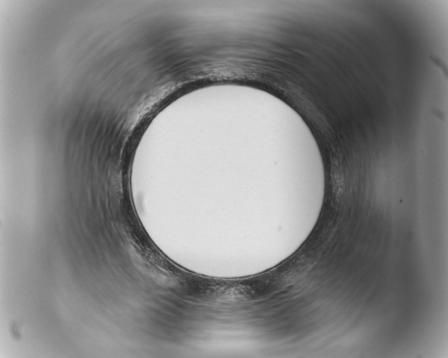 X0000103470488200810100938