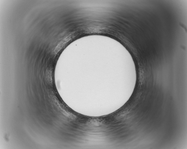 X0000103470489200810100938