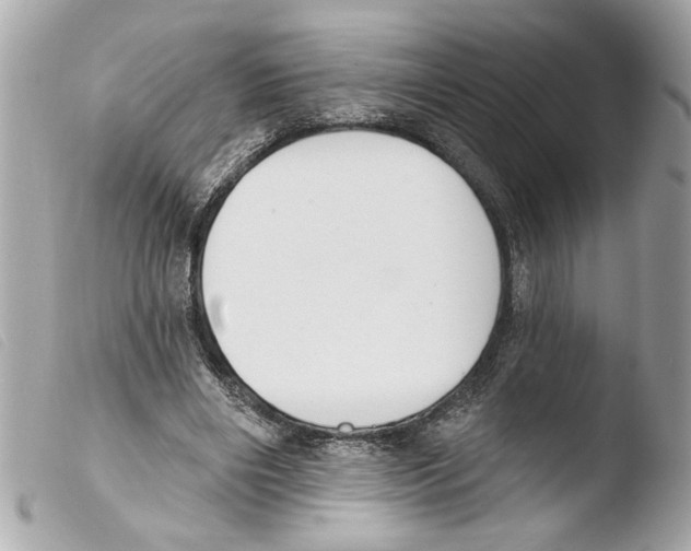X0000103470490200810100938