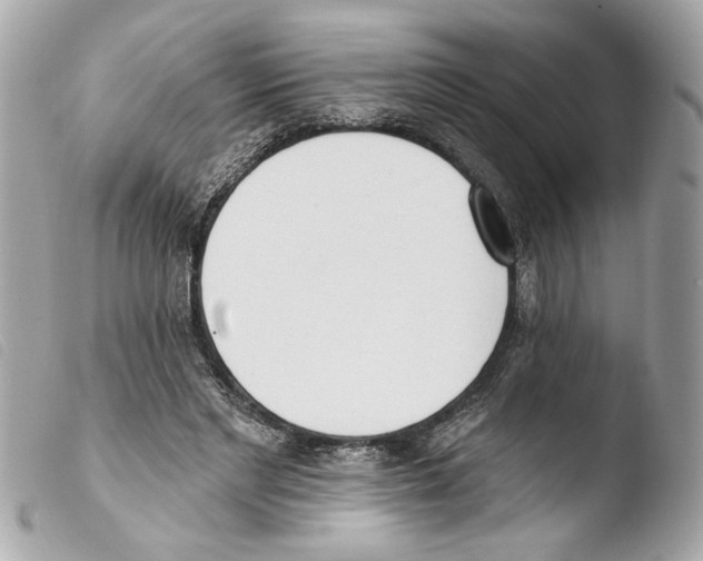 X0000103470493200810100938