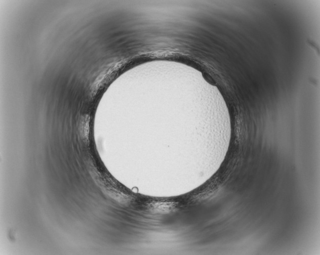 X0000103470495200810100938