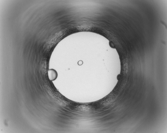 X0000103470498200810100938