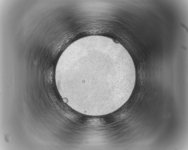X0000103470499200810100938