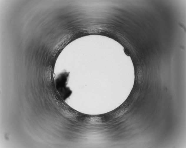 X0000103470501200810100938