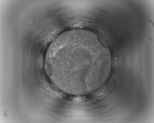 X0000103470504200810100938