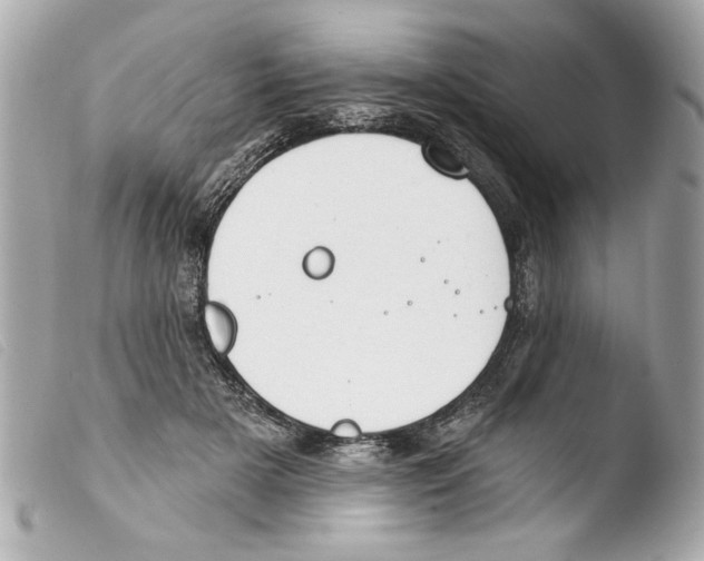 X0000103470505200810100938