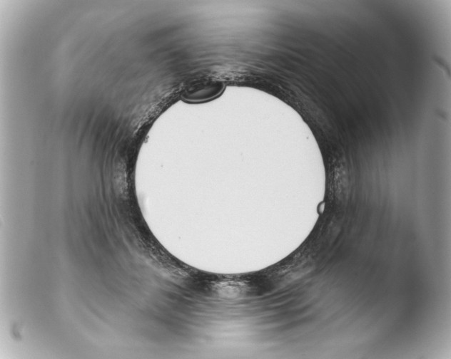 X0000103470508200810100938
