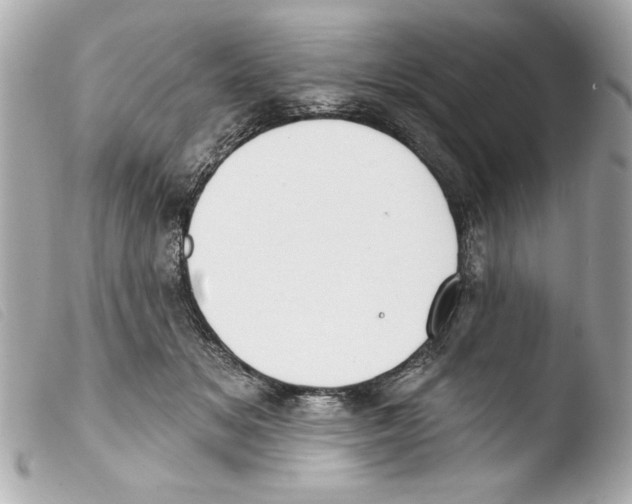 X0000103470509200810100938