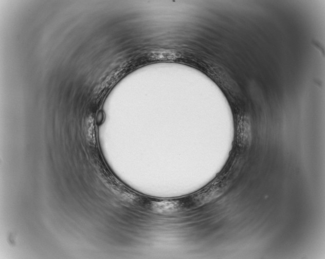 X0000103470511200810100938