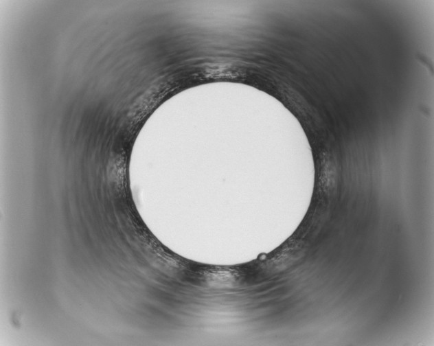 X0000103470513200810100938