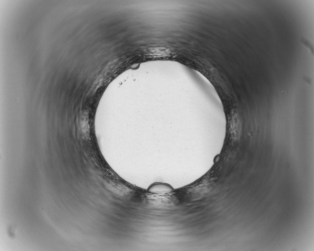 X0000103470516200810100938