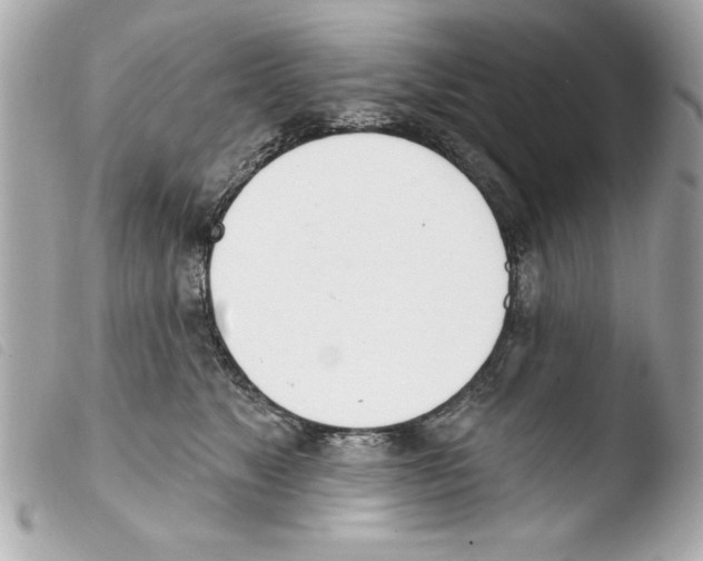 X0000103470517200810100938