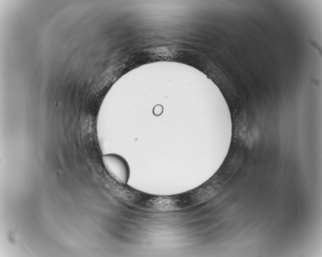 X0000103470518200810100938