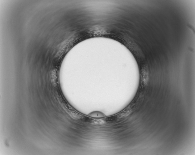 X0000103470519200810100938