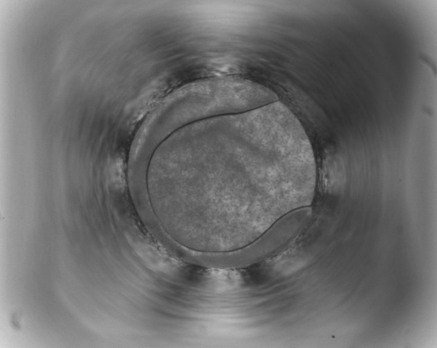 X0000103470520200810100938