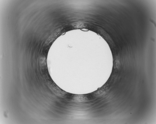 X0000103470521200810100938