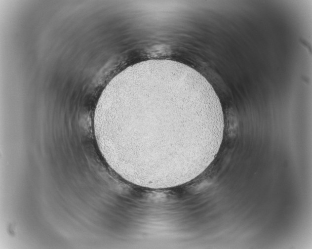 X0000103470523200810100938