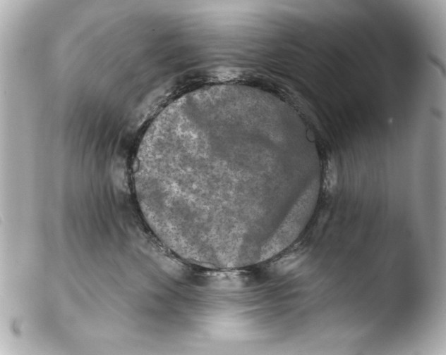 X0000103470524200810100938