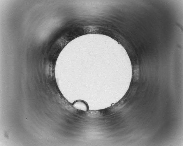 X0000103470525200810100938